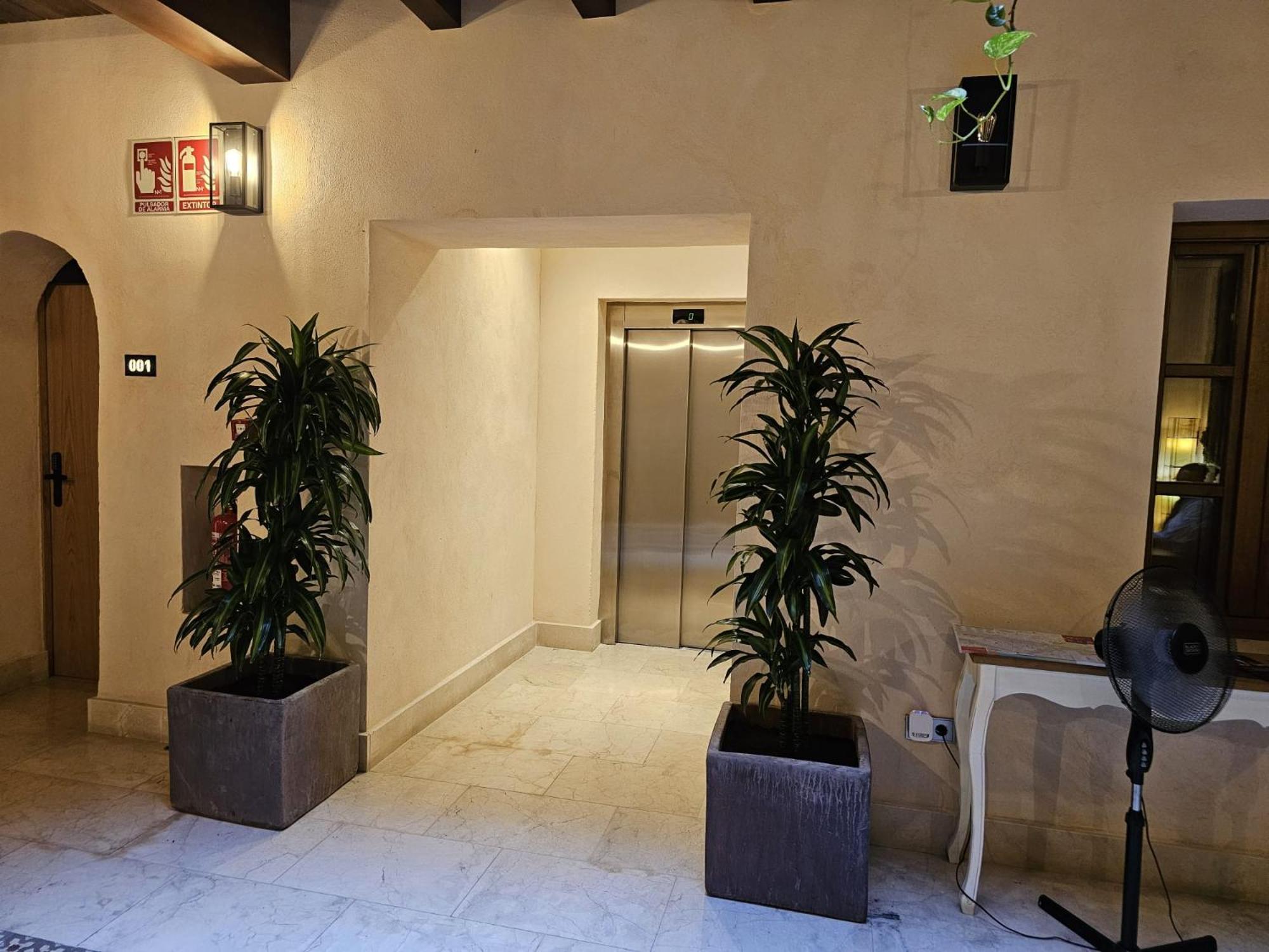 Hemd Puerta Real Boutique Pensión Sevilla